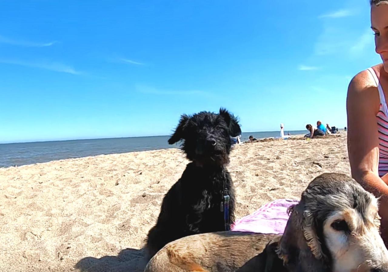 Romantic Lakeside Cottage By The Beach! With Super Cosy Log Burner! The Perfect Escape To Your Home From Home By The Sea! So Relaxing - You Won'T Want To Leave! Pet Friendly! Mablethorpe Eksteriør bilde