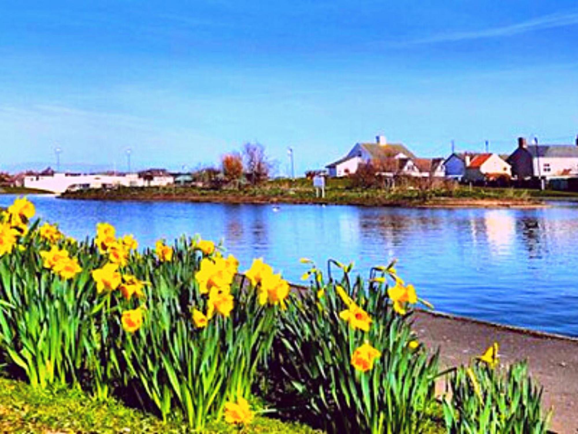 Romantic Lakeside Cottage By The Beach! With Super Cosy Log Burner! The Perfect Escape To Your Home From Home By The Sea! So Relaxing - You Won'T Want To Leave! Pet Friendly! Mablethorpe Eksteriør bilde
